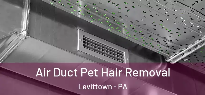 Air Duct Pet Hair Removal Levittown - PA