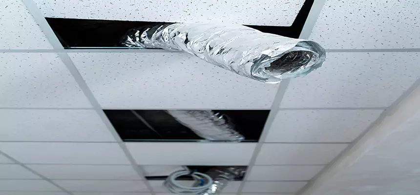 Our Air Duct Pet Hair Removal Services in Levittown, PA