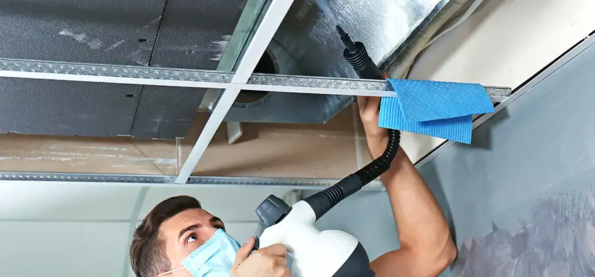 Our Air Duct Rodent Removal Services in Levittown, PA