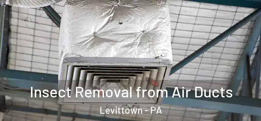 Insect Removal from Air Ducts Levittown - PA