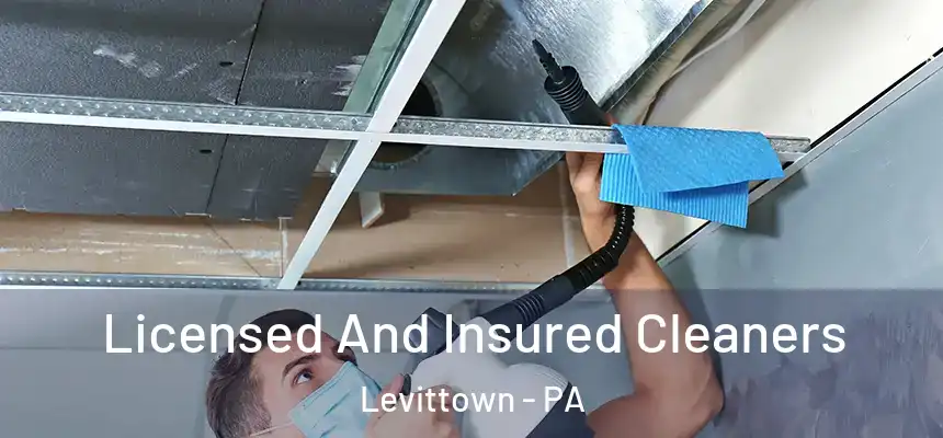 Licensed And Insured Cleaners Levittown - PA