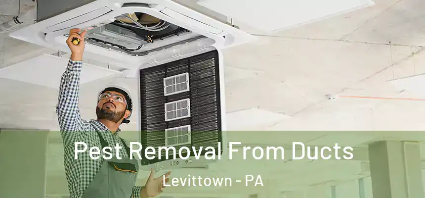 Pest Removal From Ducts Levittown - PA