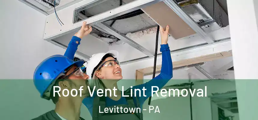 Roof Vent Lint Removal Levittown - PA