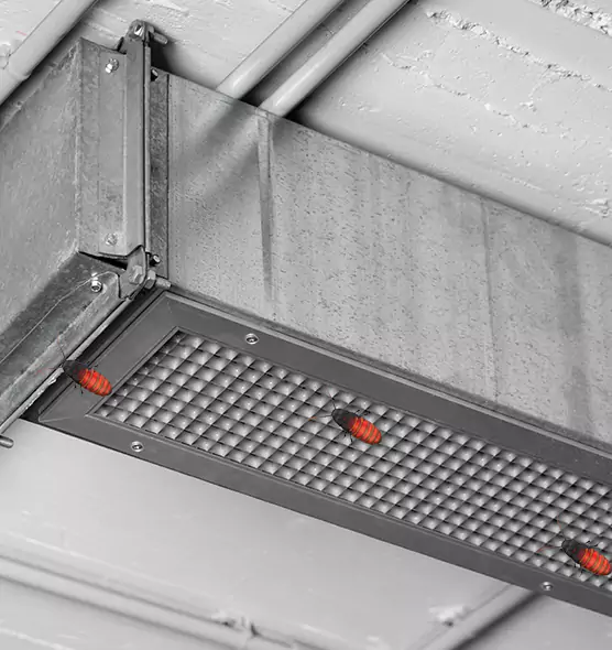 Affordable Insect Removal from Air Ducts in Levittown, PA