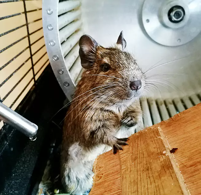 Why Homeowners & Businesses Trust Us Levittown, PA