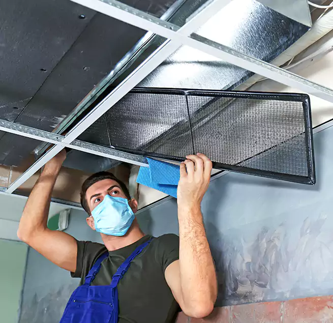 Why Homeowners Businesses Trust Us in Levittown, PA